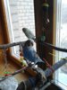 20170408_143541.jpg