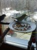 20170408_145116.jpg