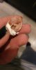 IMG-20170401-WA0009.jpeg