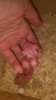 IMG_20170409_174459.jpg