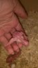 IMG_20170409_174457.jpg