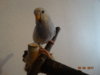 DSC01585.JPG