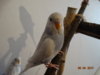 DSC01586.JPG