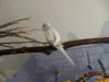 DSC01589.JPG