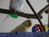 DSC01595.JPG