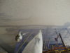 DSC01588.JPG