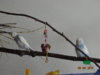 DSC01592.JPG