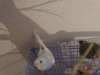 DSC01602.JPG