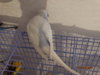 DSC01600.JPG