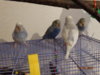 DSC01604.JPG