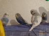 DSC01605.JPG