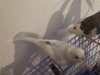 DSC01606.JPG