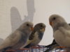 DSC01607.JPG