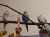 DSC01620.JPG