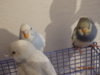 DSC01612.JPG