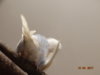 DSC01624.JPG