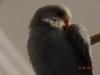DSC01622.JPG