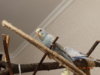 DSC01626.JPG