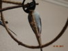 DSC01625.JPG