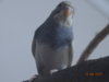 DSC01628.JPG