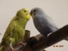 DSC01623.JPG