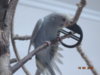 DSC01635.JPG