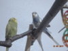 DSC01636.JPG