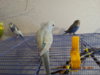 DSC01587.JPG