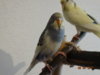 DSC01590.JPG