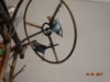 DSC01598.JPG