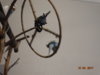 DSC01599.JPG