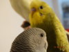 DSC01608.JPG