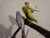 DSC01601.JPG