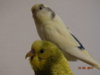DSC01610.JPG
