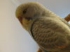 DSC01609.JPG