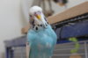 IMG_0068.JPG