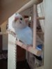 20170409_170356.jpg