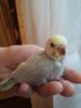 20170408_183636.jpg