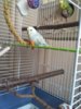 20170411_123247.jpg
