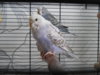 DSCN8397.JPG