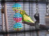 DSCN8399.JPG