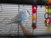 DSCN8401.JPG