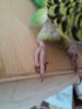 20170415_142110.jpg
