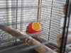 DSCN8411.JPG