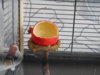 DSCN8410.JPG