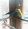 IMG_20170421_175021_507.jpg