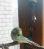 IMG_20170421_174305_265.jpg