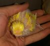 _20170421_184349.jpg