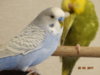 DSC01661.JPG