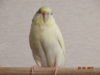DSC01679.JPG